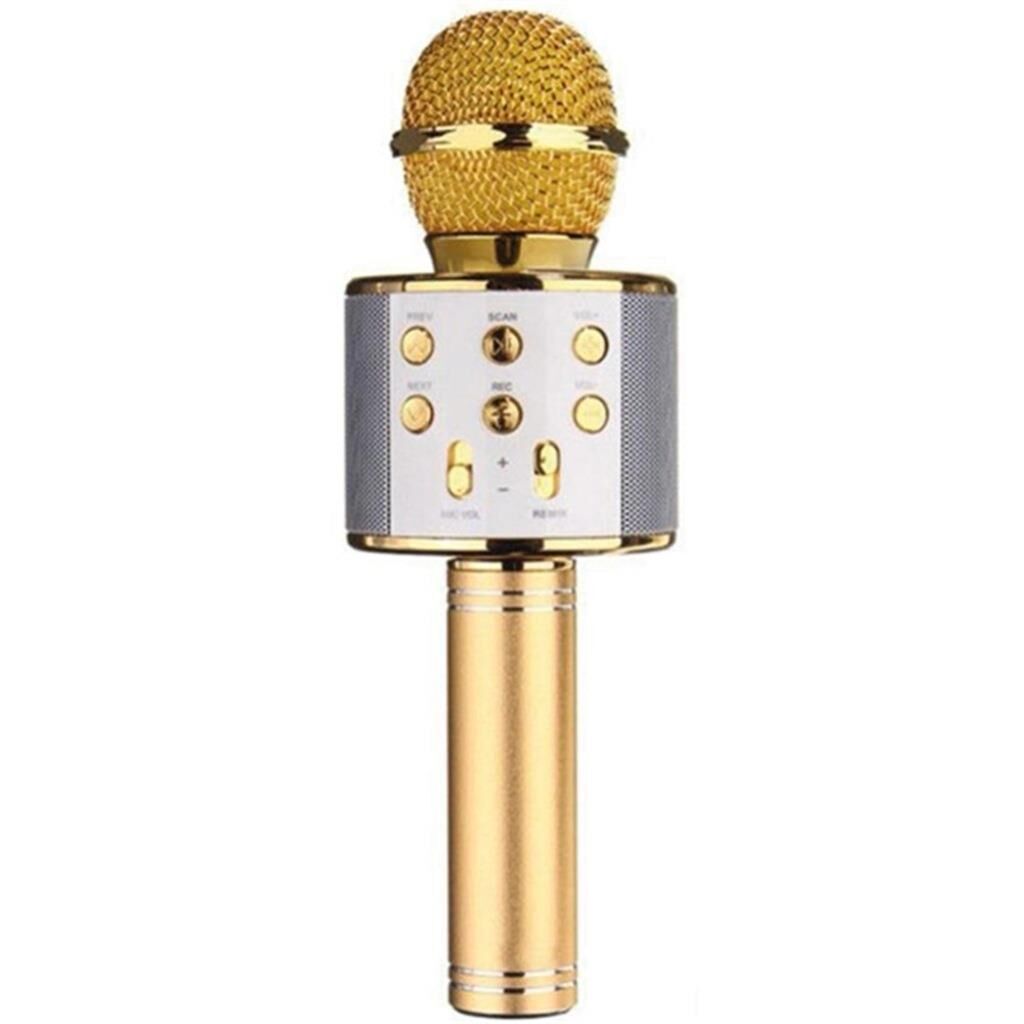 MİKROFON KARAOKE WS-858 BLUETOOTH USB
