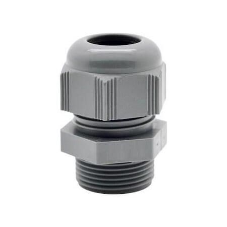 PANO REKORU 16 LIK MUTLUSAN