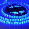 ŞERİT LED 12 V İÇ MEKAN MAVİ 3 ÇİPLİ 5MT CATA