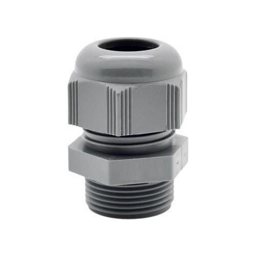 PANO REKORU 11 LİK MUTLUSAN