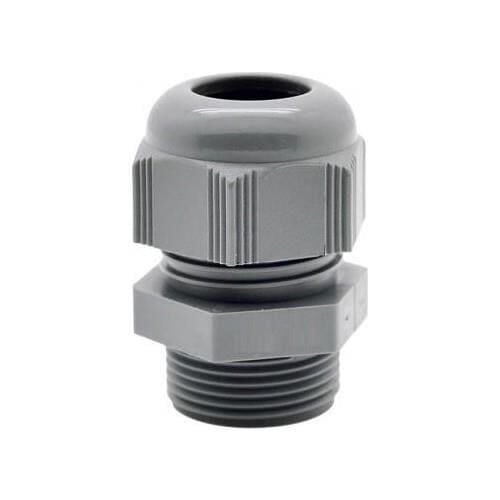 PANO REKORU 11 LİK MUTLUSAN