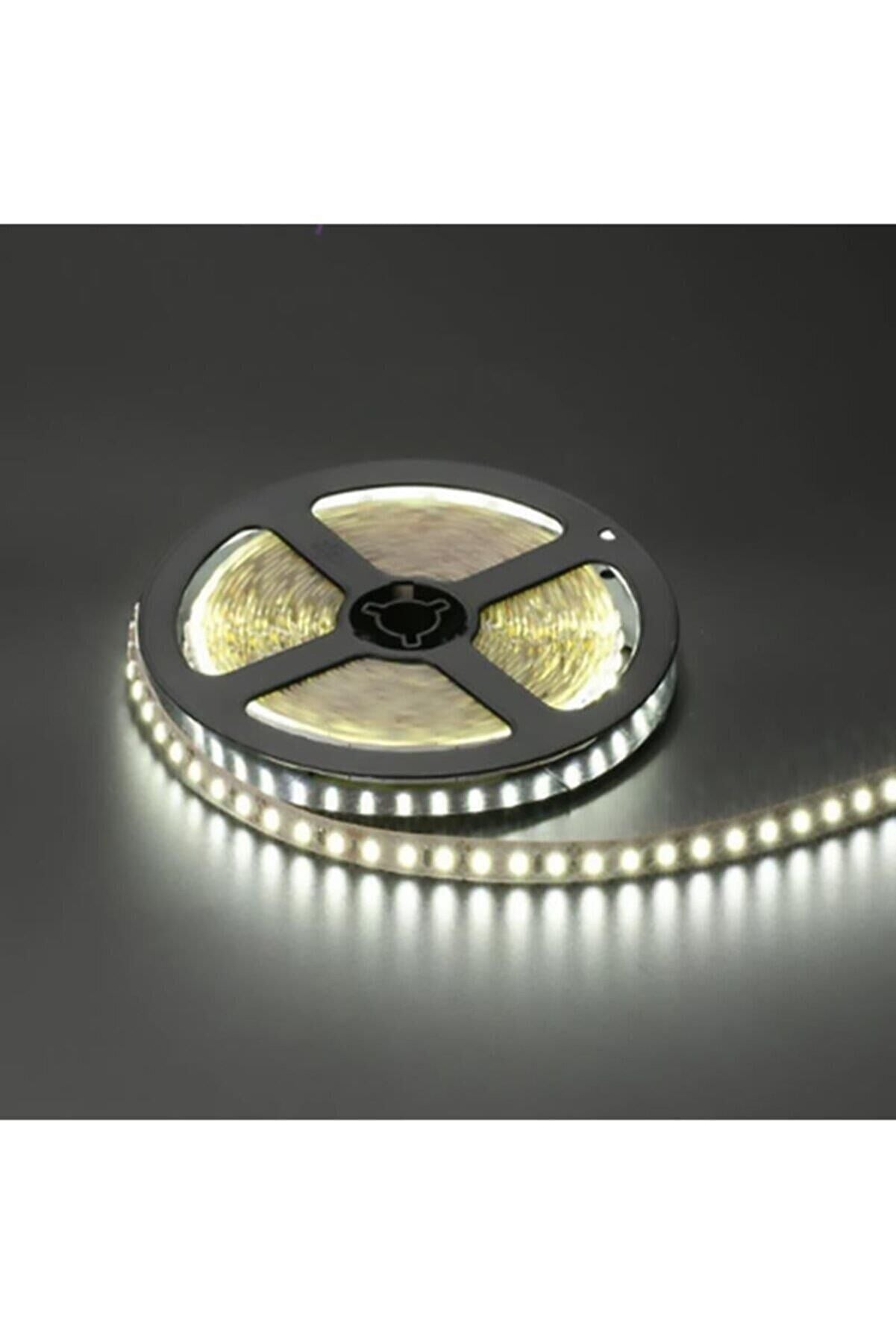 ŞERİT LED 12 V İÇ MEKAN BEYAZ 240 LEDLİ 5MT CATA