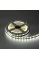 ŞERİT LED 12 V İÇ MEKAN BEYAZ 240 LEDLİ 5MT CATA