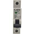 CATA W OTOMAT 2 AMPER C TİPİ 4,5 K MONOFAZE CT-9610