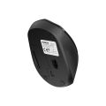 EVEREST SMW-87 KABLOSUZ MOUSE
