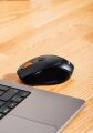 EVEREST SMW-87 KABLOSUZ MOUSE