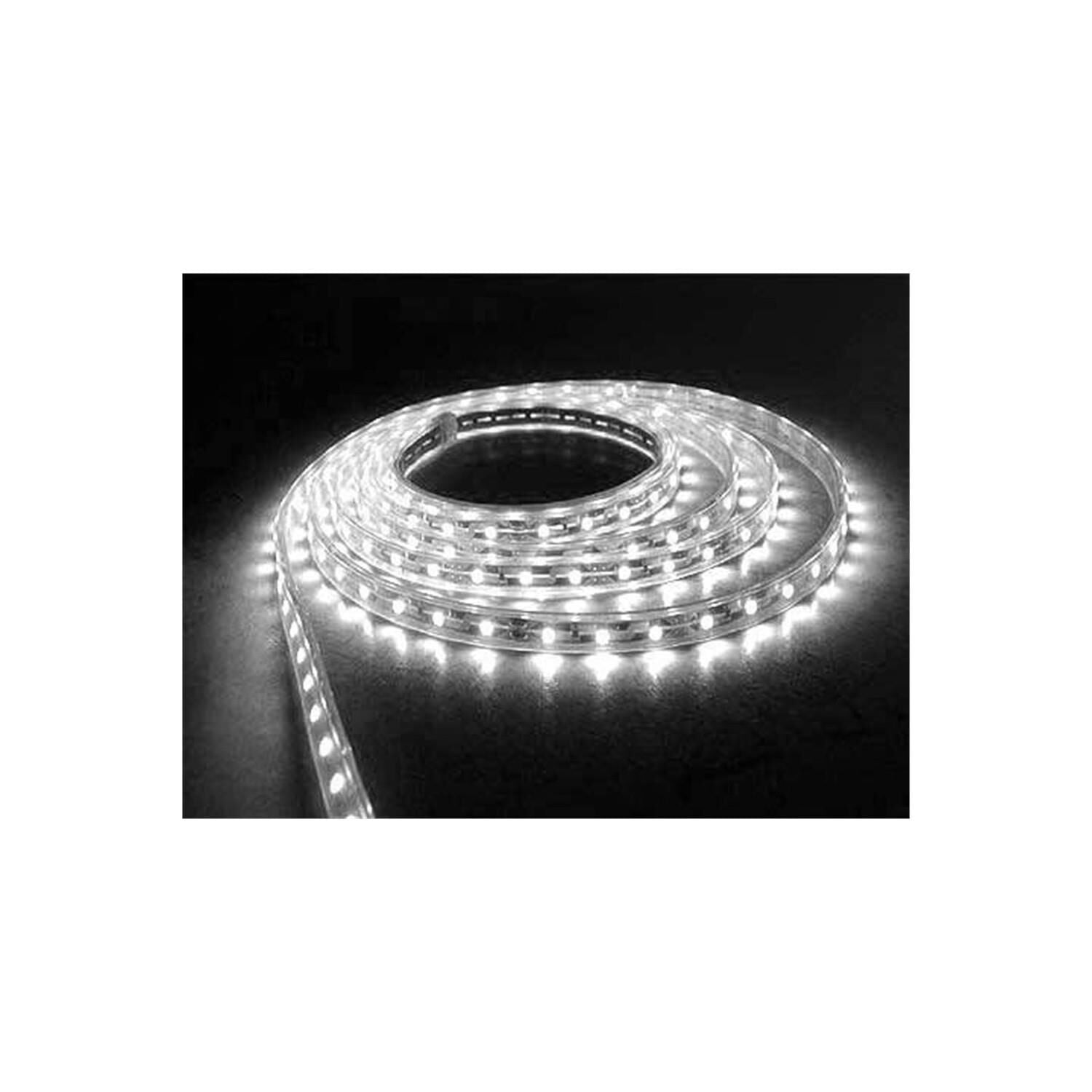 ŞERİT LED 24 V DIŞ MEKAN BEYAZ 5MT BOLLED