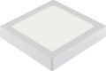 HOROZ 36 WATT SELENA-36  SIVA ÜSTÜ BEYAZ IŞIK BEYAZ KASA KARE 30X30 LED PANEL