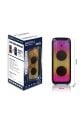 HEPU HP-943 2X10'' 2X25CM KABLOSUZ 1 EL MİKROFON BLUETOOTH ŞARJLI MÜZİK KUTUSU
